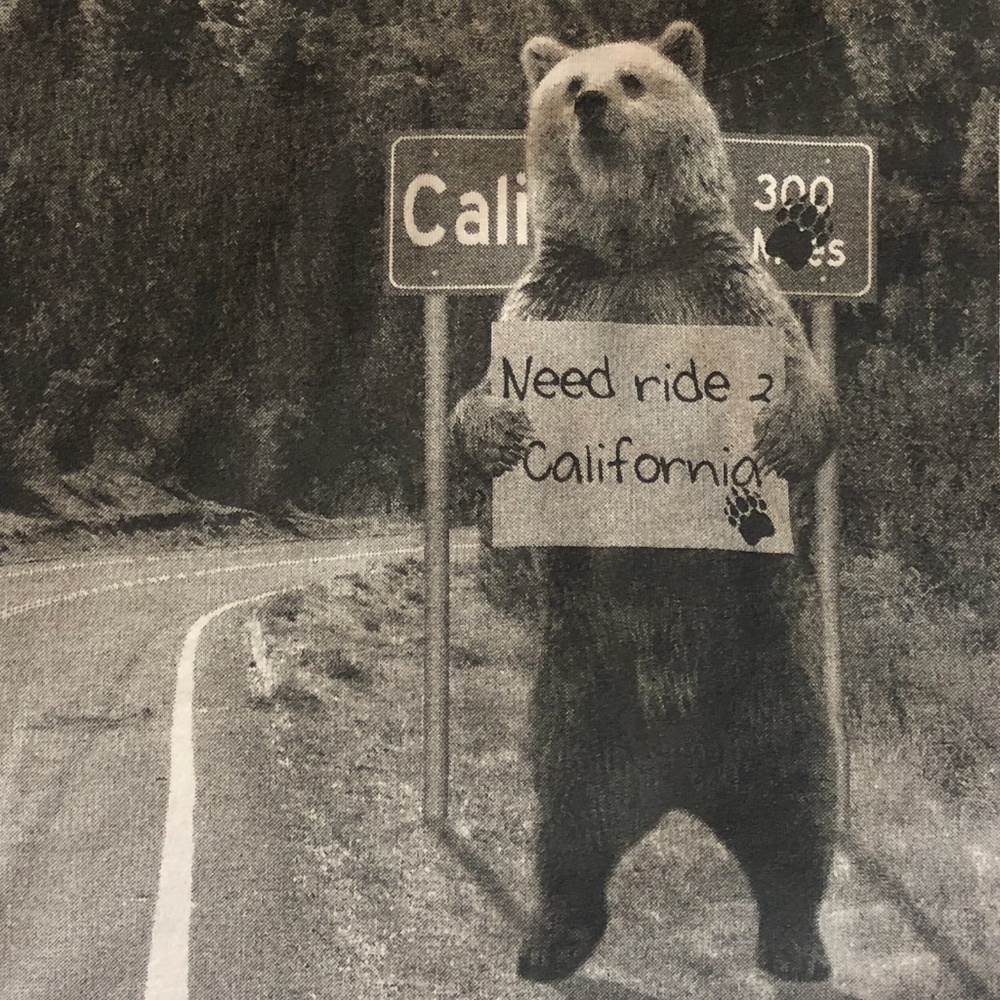 Need ride 2 California Bear Shirt